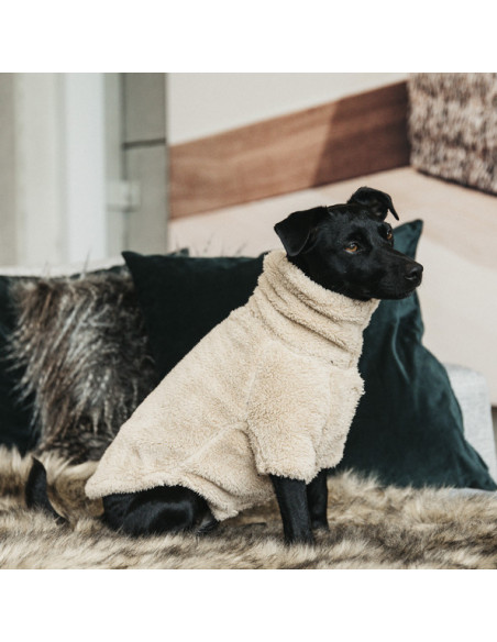 Kentucky Dog Sweater Teddy Fleece