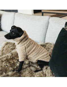 Kentucky Dog Sweater Teddy Fleece 2