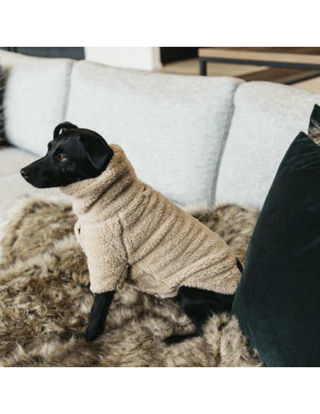 Kentucky Dog Sweater Teddy Fleece