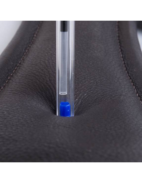 Globus dressyrgjord Soft