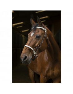 Sidepull Tresse brun full