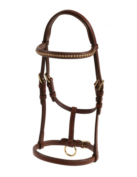 Lippo Selected Uppvisningsgrimma Föl