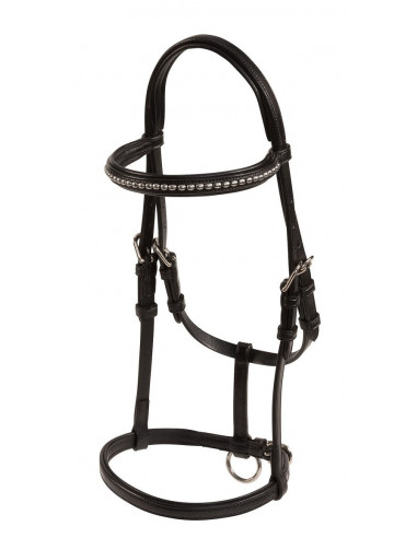 Lippo Selected Uppvisningsgrimma Föl