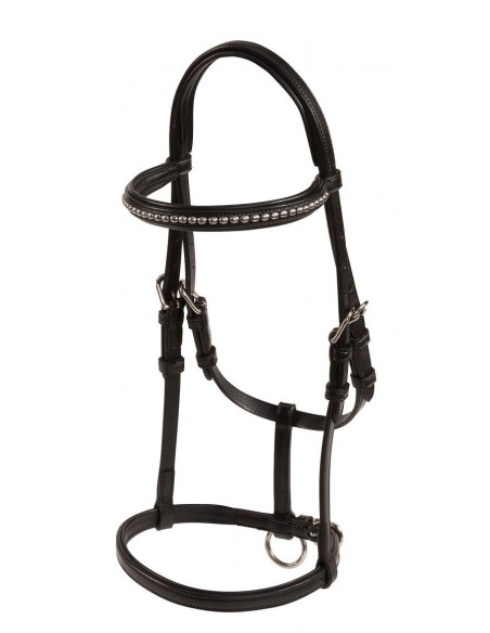 Lippo Selected Uppvisningsgrimma Föl