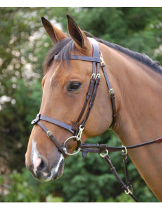 Dyón Träns med slät nosgrimma Working Collection