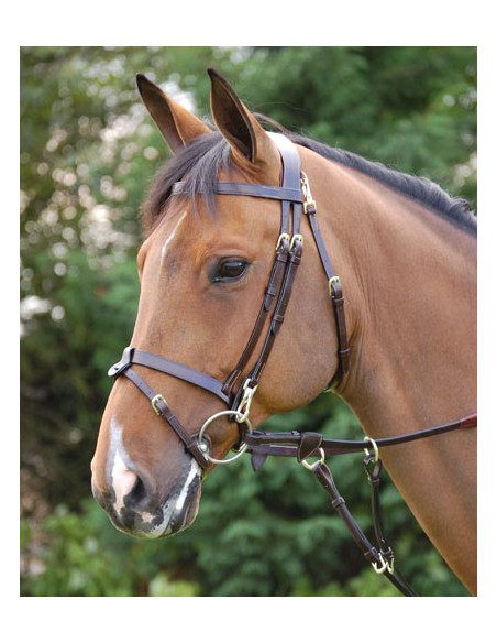 Dyón Träns med slät nosgrimma Working Collection