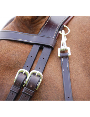 Dyón Träns med slät nosgrimma Working Collection