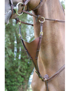 Dyón Kort martingal antibit Dyón Collection