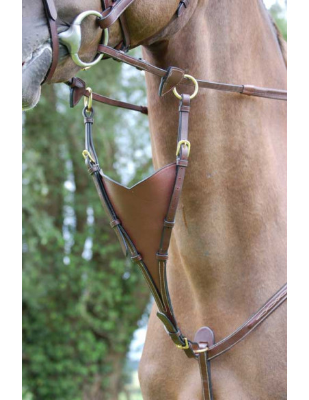 Dyón Kort martingal antibit Dyón Collection