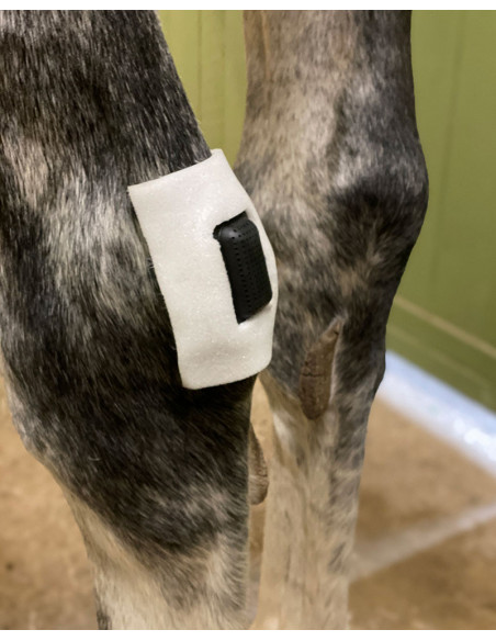 Rheva Extrafäste Small