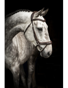 Lippo Träns Cortina