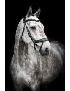 Lippo Träns Cortina 2