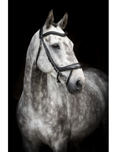 Lippo Träns Cortina