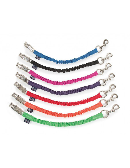 Shires Transportgrimskaft