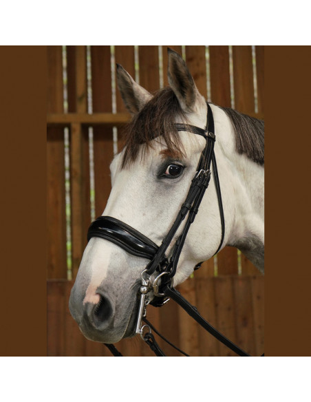 Dyón Kandar bred lackad nosgrimma Working Collection