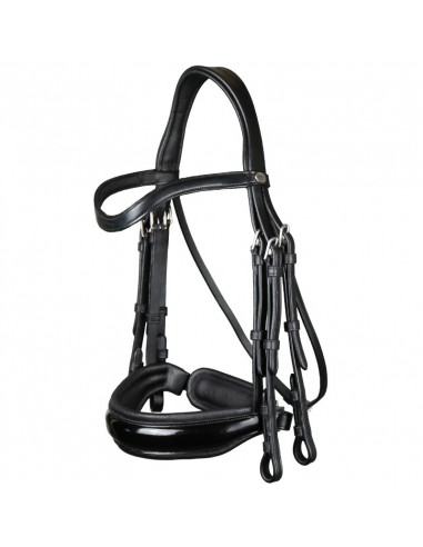 Dyón Kandar bred lackad nosgrimma Working Collection