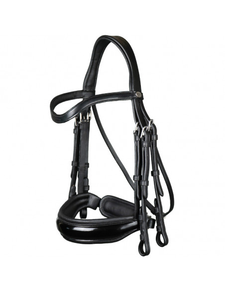 Dyón Kandar bred lackad nosgrimma Working Collection