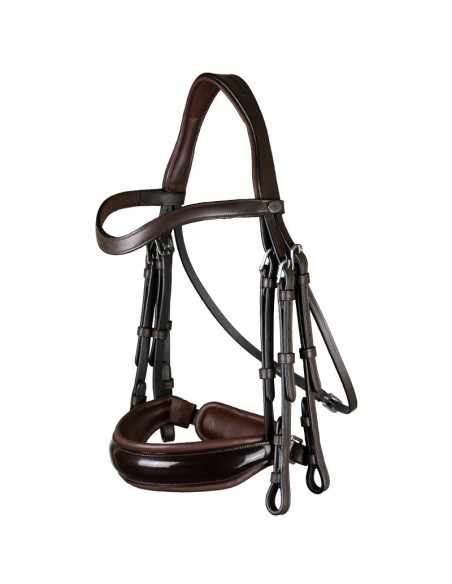 Dyón Kandar bred lackad nosgrimma Working Collection