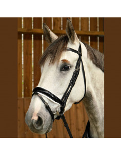 Dyón Dressyrträns Large vitfodrad lackad kombinerad nosgrimma Working Collection