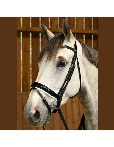 Dyón Dressyrträns Large vitfodrad lackad kombinerad nosgrimma Working Collection