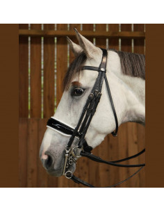 Dyón Kandar vitfodrad lackad nosgrimma Working Collection