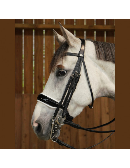 Dyón Kandar vitfodrad lackad nosgrimma Working Collection