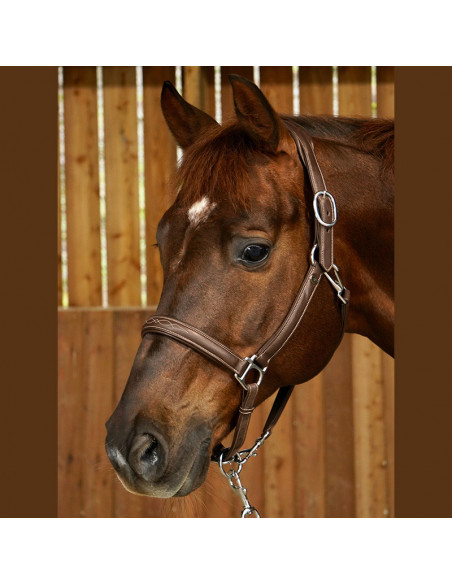 Dyón Lädergrimma 2-i-1 Dyón Collection