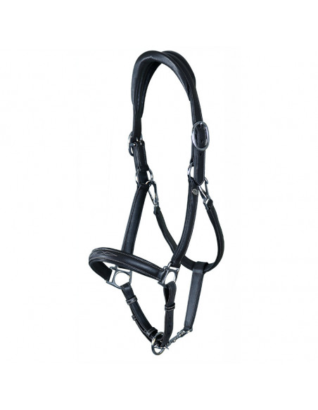 Dyón Lädergrimma 2-i-1 Dyón Collection