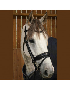 Dyón Dressyrträns Large kombinerad nosgrimma Working Collection