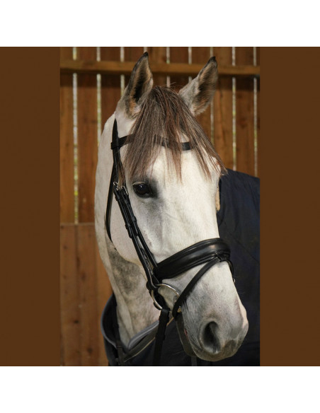 Dyón Dressyrträns Large kombinerad nosgrimma Working Collection