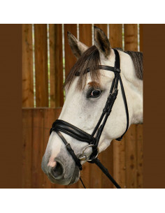 Dyón Dressyrträns Large kombinerad nosgrimma Working Collection 2