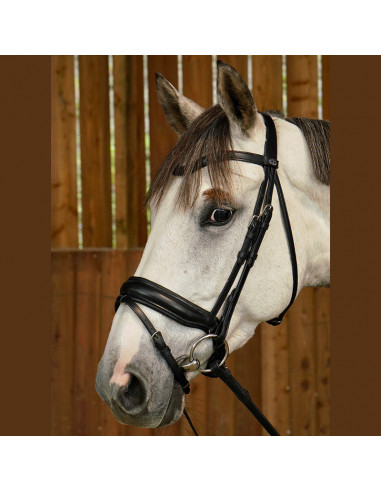 Dyón Dressyrträns Large kombinerad nosgrimma Working Collection