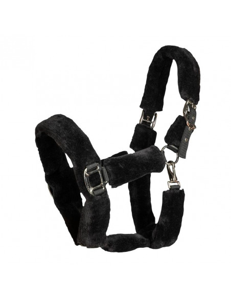 Back on Track grimma Audrey