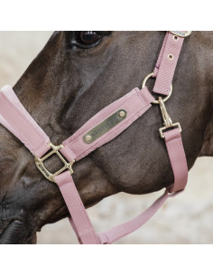 Kentucky Velvet Halter 2