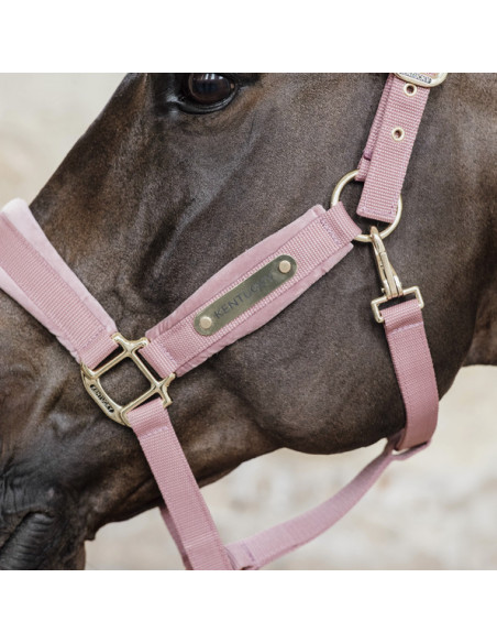 Kentucky Velvet Halter