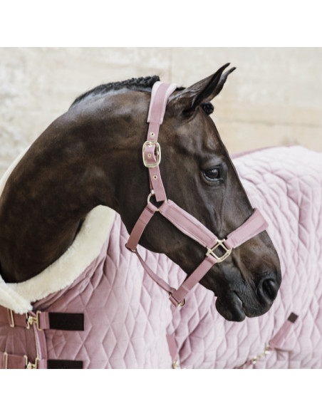 Kentucky Velvet Halter