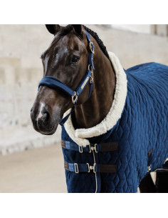 Kentucky Velvet Halter 2