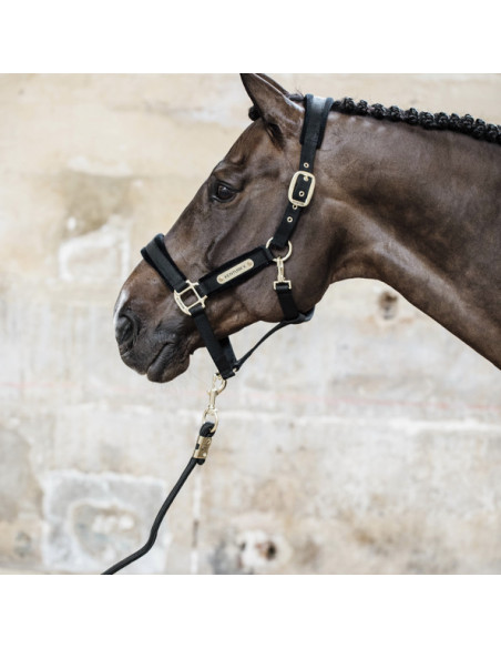 Kentucky Velvet Halter