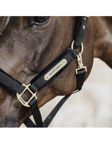 Kentucky Velvet Halter