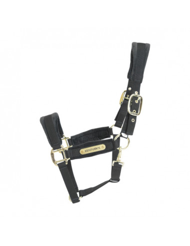 Kentucky Velvet Halter