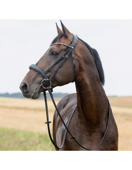 Horze Träns Lincoln