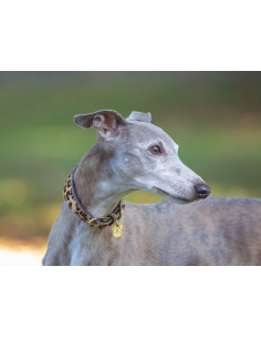 Digby & Fox Hundhalsband Leopard 2