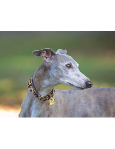 Digby & Fox Hundhalsband Leopard