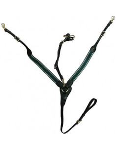 Globus förbygel Octavius NewTan/SS Ponny