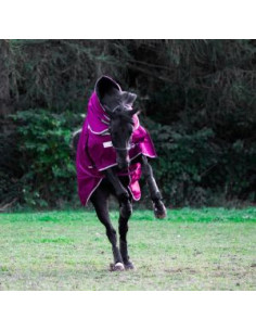 Shires Highlander Original Plus 200g 2