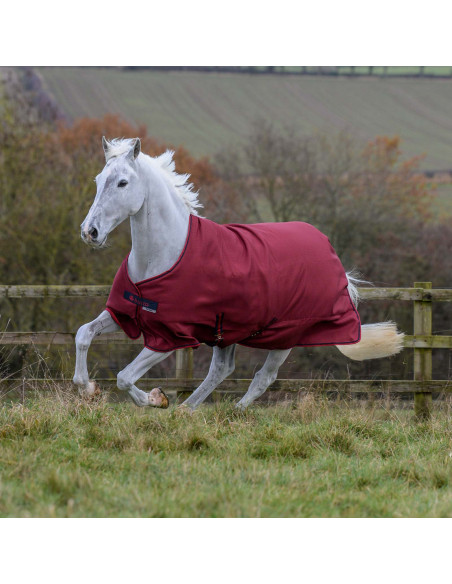 Freedom Turnout 150 Pony