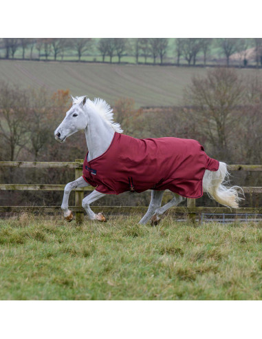 Freedom Turnout 150 Pony
