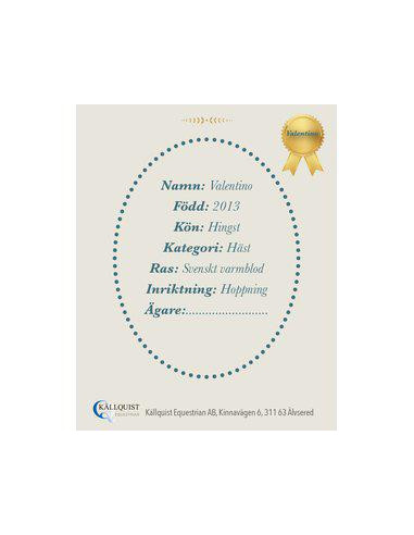 Käpphäst Valentino