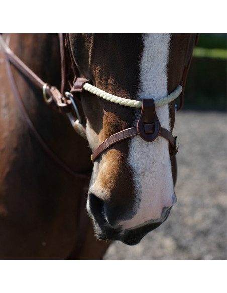 John Whitaker rope nose band