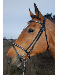Treadstone Träns med klinker